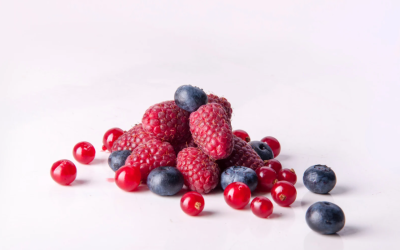 Como é que a alimentação pode atrasar a progressão da doença renal crónica